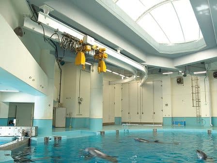Модель ER2M с электр. тележкой фото 2